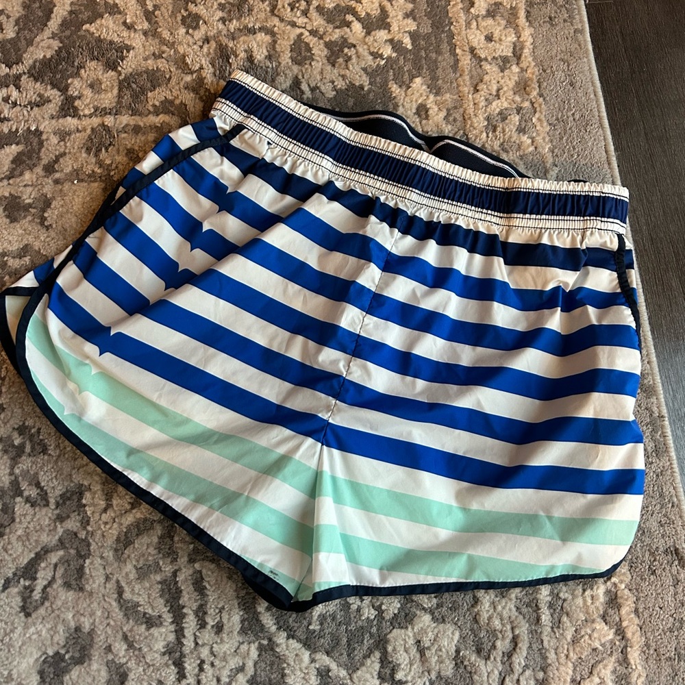 Hunter Striped Blue and Green Women's Shorts